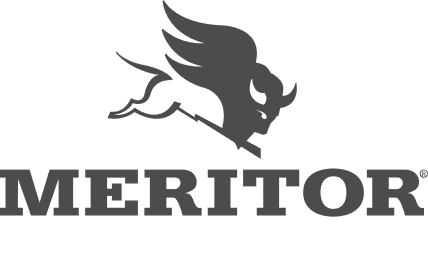 Logo-21 Logo Meritor