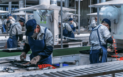 SPC Production Line